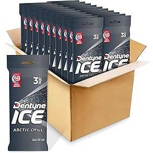 Dentyne Ice Sugar Free Gum (Arctic Chill 3 x 16 個 20 個パック) Dentyne Ice Sugar Free Gum (Arct..