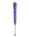 ロックキャンディオンアスティック、パープル (グレープ風味、36 個) Espeez Rock Candy On a Stick, Purple (Grape Flavored, 36 Count)