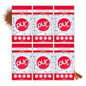 PUR Gum Aspartame Free Chewing Gum 100% Xylitol Natural Cinnamon Flavored Gum, 55 Pieces (Pack o..
