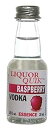 Liquor Quik ナチュラル ウォッカ エッセンス、20 mL (ラズベリー ウォッカ) Liquor Quik Natural Vodka Essence, 20 mL (Raspberry Vodka)