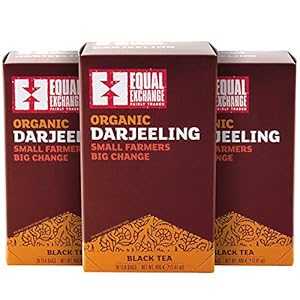 等価交換オーガニックダージリンティー、20枚入（3個パック） Equal Exchange Organic Darjeeling Tea, 20-Count (Pack of 3)