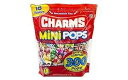 チャーム ミニポップ 18 種類のフレーバーアソート 再封可能なバッグ付き (300 個) Charms Mini Pops 18 Assorted Flavo...