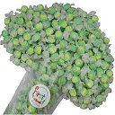 オールフレーバー グルメ ソルト ウォーター タフィー (キー ライム、1 ポンド) FirstChoiceCandy All Flavor Gourmet Salt Water Taffy (Key Lime, 1 LB)