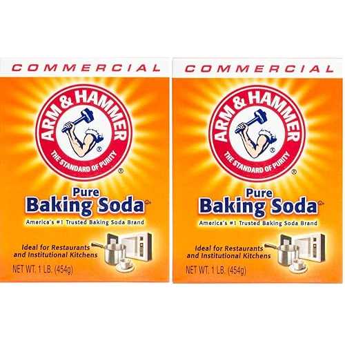 アーム＆ハンマー 1ポンド重曹、2個セット Arm & Hammer 1 lb. Baking Soda, Set of 2