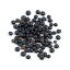 D'allesandro Black Beluga Lentils, 10 Pound Box