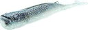 Z-Man POPSHAD4-57PK3 3070-0706 Elaztech ポップフィッシング用品 Z-Man POPSHAD4-57PK3 3070-0706 Elaztech Pop Fishing Equipment