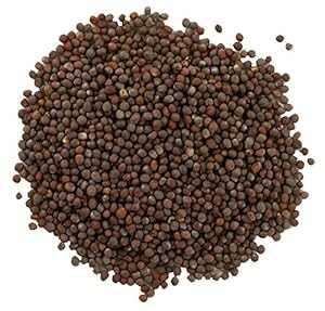 Frontier Co-op Organic Whole Brown Mustard Seed, 1-pound Bulk Bag, Rob...