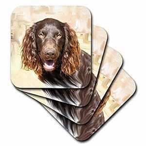 3dRose CST_4432_1 ボイキン スパニエル ソフト コースター 4 個セット 3dRose CST_4432_1 Boykin Span..