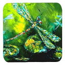 Caroline's Treasures Insect-Dragonfly Summer Flies Foam Coasters (Set of 4), 3.5" H x 3.5" W, Multicolor