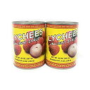 アスカ ライチ ライトシロップ 20オンス、2パック Asuka Lychees in light syrup 20oz, 2 Pack