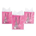 Fun Express Paris ギフトバッグ (12 個セット) 誕生日パーティー用品用 Fun Express Paris Gift Bag (set o...