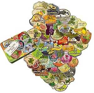 Nabila K Voyager's Garden ギフトタグ 紐付き - ユニークなヴィンテージスタイルの植物デザイン - 再利用可能なお揃いの収納ボックス ...