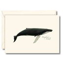 Earth Sky + Water - ザトウクジラ ノートカード セット - ブランクカード 8 枚、封筒付き Earth Sky + Water - Hum...