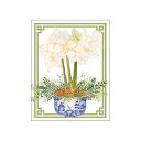 Caspari 鉢植えアマリリス ギフト封入カード 金箔 - 20枚 封筒付き Caspari Potted Amaryllis Gift Enclosure ...