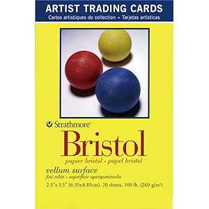Glomarket㤨Strathmore Artist Trading Cards Vellum Bristol Paper, 2.5x3.5 inches, 20 Cards (100lb/270g - Artist Paper for Adults and StudentsפβǤʤ1,839ߤˤʤޤ