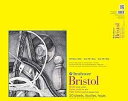 Strathmore 342-119 300 シリーズ Bristol ベラムパッド、19 インチ x 24 インチ、テープ綴じ 20 枚 Strathmore...