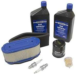 Stens 785-649 Engine Maintenance Kit