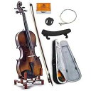 SKY 4/4 Full Size SKYVN201 Solid Maple Wood Violin with High Quality Lightweight Case, Brazilwood Bow, String, Rosin and Mute(2)