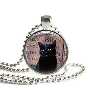 Hocus Pocus Binx 1 インチ シルバー メッキ ピクチャー ペンダント ネックレス The Spider's Parlor Hocus Pocus Binx 1 Inch Silver Plated Picture Pendant Necklace
