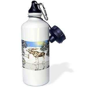 3dRose Moose Sports Water Bottle, 21 oz, White