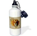 3dRose King of the Jungle Lion and Africa Map art original-Sports Water Bottle, ...