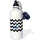 3dRose Blue Glittery Anchor with Black and White Chevron Sports Water Bottle, 21...