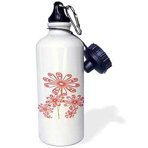 3dRose "Group of Curly Red Outlined F Sports" Water Bottle, 21 oz, Natural