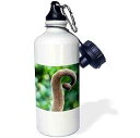 3dRose ウォーターボトル、21オンス、ホワイト 3dRose Water Bottle, 21oz, White