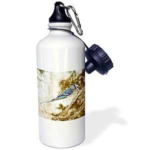 3dRose ウォーターボトル、21オンス、ホワイト 3dRose Water Bottle, 21oz, White