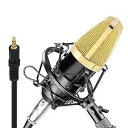 Pyle PDMIC71 Condenser Microphone Bundle, 3.5 mm Recording Microphone, Shock Mou...
