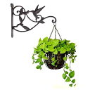 吊り下げ植物フック ハチドリ 鋳鉄製装飾フラワーバスケット 両面壁掛けフック ブラケットハンガー 屋内屋外植物用 鳥の餌箱 ランタン プランター フラワーポット...