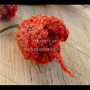 World's Hottest Chiles Dried Organic Carolina Reaper Peppers World's Hottest Chi...