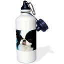 3dRose Japanese Chin Sports Water Bottle, 21 oz, White