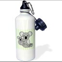 3dRose True Love Owls Design Sports Water Bottle, 21 oz, White