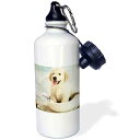 3dRose Cute Golden Retriever Puppy Spa Day Art Photo Courtesy Sports Water Bottl...