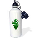 3dRose Pot with Green Themed Plant-Sports Water Bottle, 21oz , 21 oz, Multicolor
