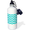 3dRose スポーツ ウォーターボトル、21 オンス、マルチカラー 3dRose Sports Water Bottle, 21 oz, Multicolor