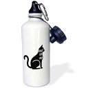 3dRose Crazy Cat Lady Sports Water Bottle, 21 oz, Multicolor