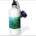 3dRose Portait of a Chocolate Lab Sports Water Bottle, 21 oz, White