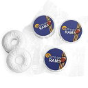 ラムズ フットボール パーティー記念品 ライフセーバーズ ミント (300ct) WH Candy Rams Football Party Favors Lif...