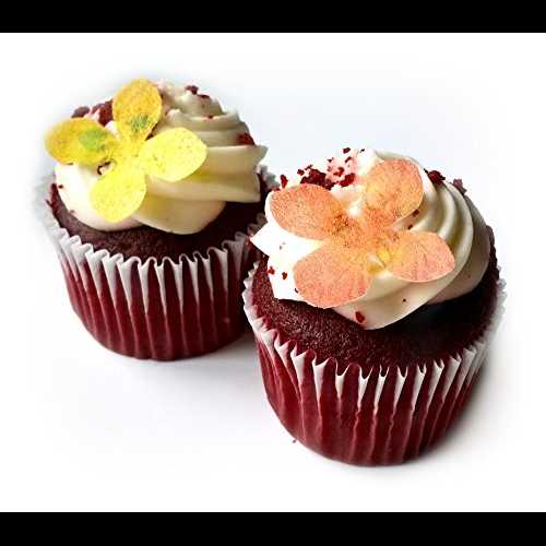 24個のオレンジと黄色の花フラット食用ウエハースペーパーフラワー非常に小さな1.25インチフラワーケーキカップケーキトッパーデコレーション Deco Machine 24 Orange and Yellow Flower Flat Edible Wafer Paper F Very Small 1.25