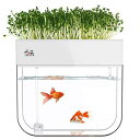 Huamuyu 水耕栽培ガーデン アクアポニック水槽植物成長システム自己洗浄種子噴霧器トレイ Huamuyu Hydroponic Garden Aquaponic Fish Tank Plants Growing System Self-Cleaning Seed Sprouter Tray