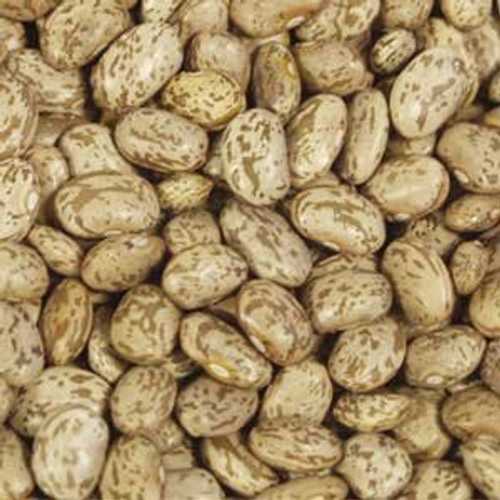 Х륯ɥƦƦ˥å100% ˥åԥƦ5ݥ Bulk Peas And Beans Organic, 100% Organic Pinto Beans, 5 Lbs