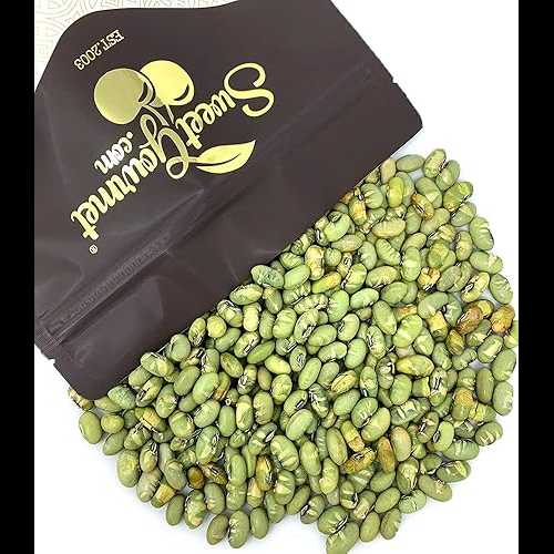 SweetGourmet 輸入枝豆青大豆のうす塩辛口焙煎 1ポンド SweetGourmet Lightly Salted Dry Roasted Imported Edamame Green Soybeans 1 Pound