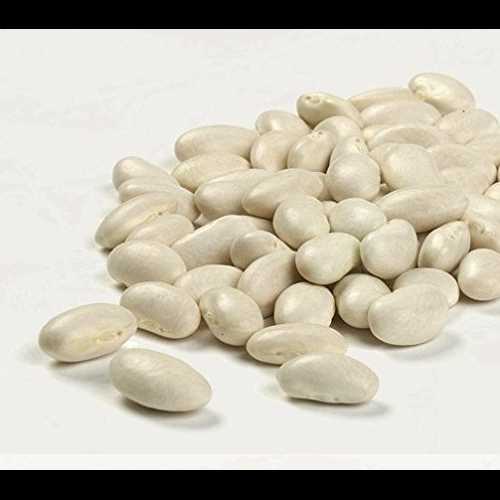 Camellia Brand Great Northern Beans Dry Bean, 2 Pound Bag