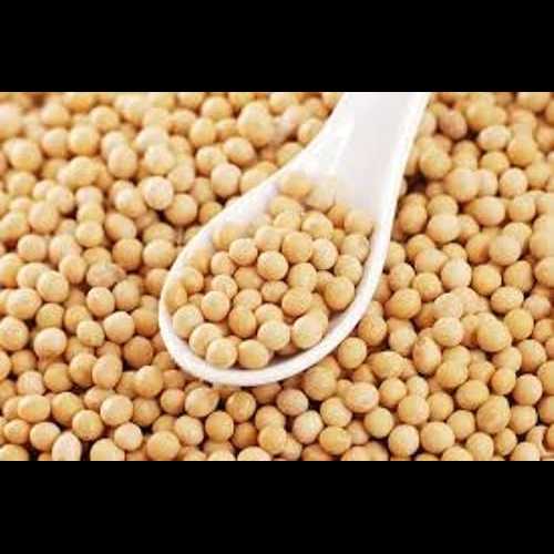 大豆 - 22ポンド Dylmine Health SOYA BEANS- 22lb 大豆 - 22ポンド Dylmine Health SOYA BEANS- 22lb