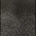 有機黒豆バルク フィンドレーズオーガニック ミシガングロウン 家族経営の Bulk Organic Black Beans Findlay's Organics Michigan Grown Family Owned