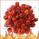 キャロライナ リーパー ペッパー ホール 極辛丸ごとキャロライナ リーパー ペッパー (1ポンド) Fiery Farms Carolina Reaper Pepper Whole Extremely Hot Whole Carolina Reaper Peppers (1lb)