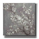 Epic Graffiti White Cherry Blossom II on Gray by Anhui Nia Gisele キャンバスウォールアート、37インチ x 37インチ Epic Graffiti White Cherry Blossom II on Grey by Anhui Nia Gisele Canvas Wall Art, 37" x 37"