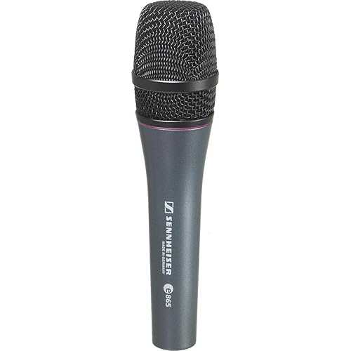ϥ e865 ꡼ɥܡ륳ǥ󥵡ޥ Sennheiser Pro Audio Sennheiser e865 Lead...